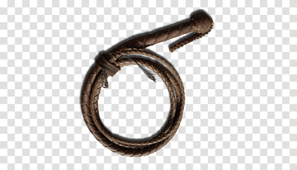 Whip, Snake, Reptile, Animal Transparent Png