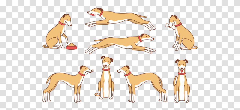 Whippet Cartoon Vector Longdog, Animal, Mammal, Bird, Horse Transparent Png