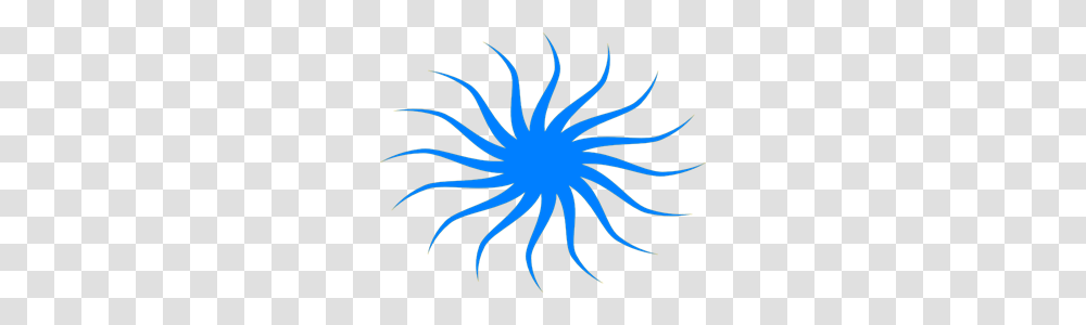Whirl Images Icon Cliparts, Sea Life, Animal, Nature, Outdoors Transparent Png