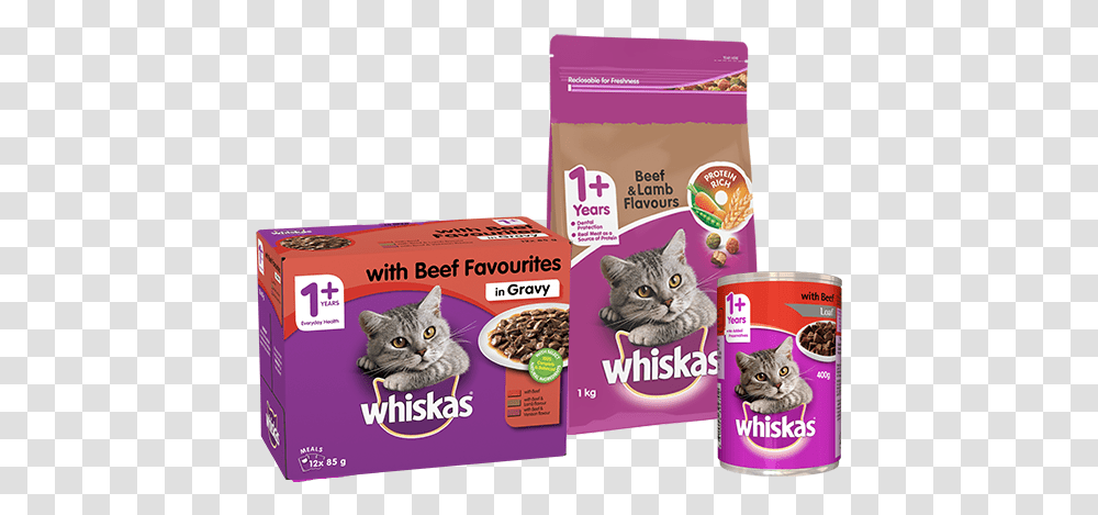 Whiskas Australia Welcome To Whiskascomau Whiskas, Cat, Pet, Mammal, Animal Transparent Png