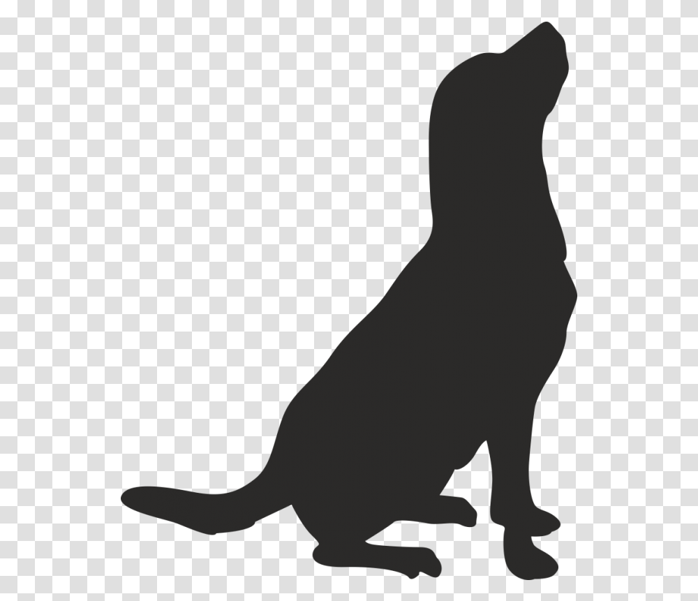 Whiskers American Pit Bull Terrier Drawing Clip Art Dog, Silhouette, Animal, Person, Human Transparent Png