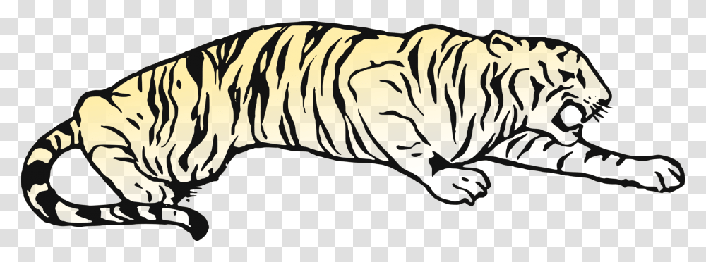 Whiskers Cat Golden Tiger Bear Bengal Tiger, Pillow, Cushion, Bread, Food Transparent Png