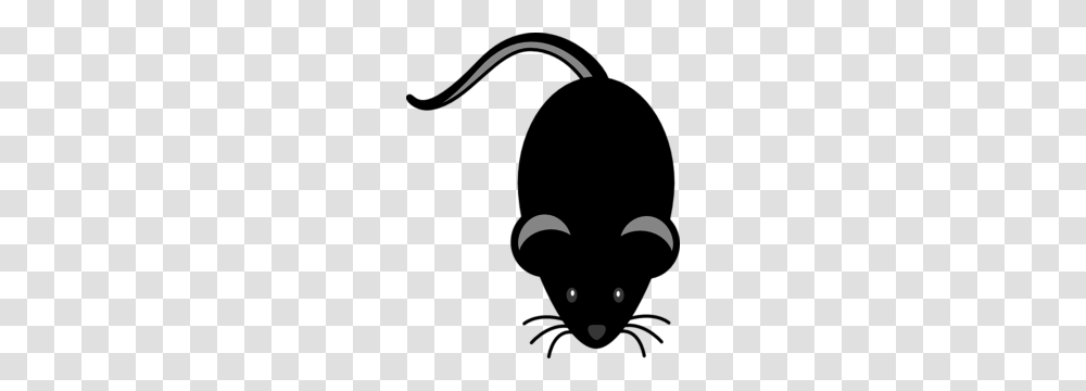 Whiskers Clipart Grey Mouse, Binoculars Transparent Png