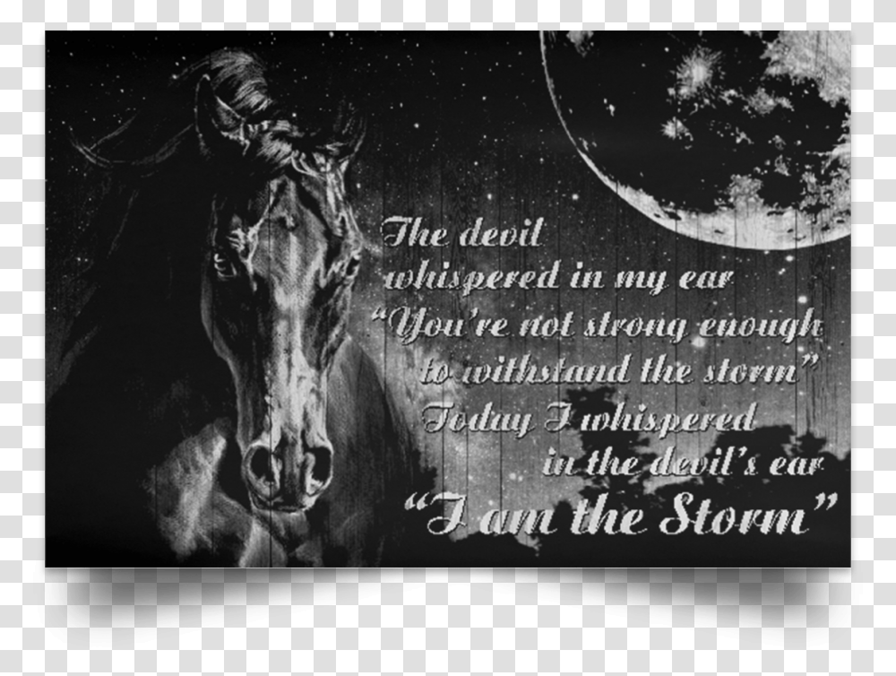 Whispered Back I Am The Storm, Poster, Horse, Mammal, Animal Transparent Png