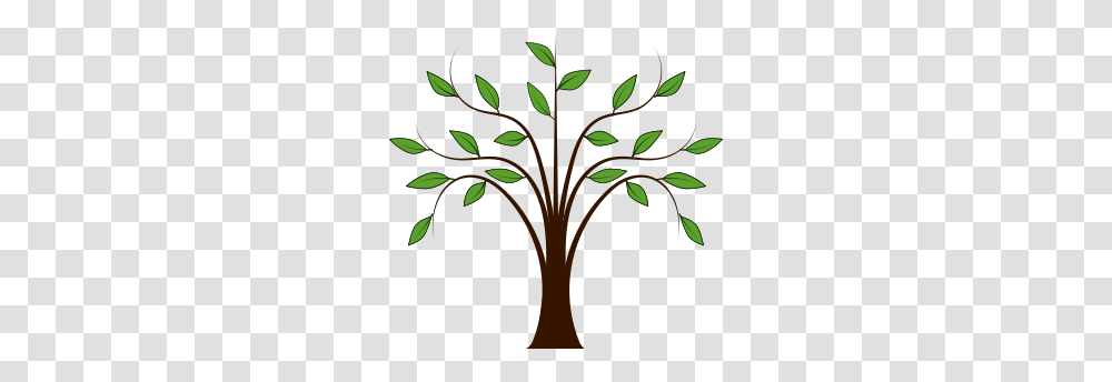 Whispy Tree, Floral Design, Pattern Transparent Png