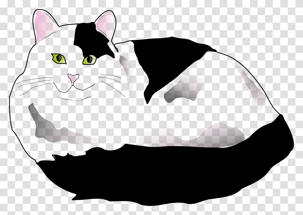 White And Black Cat, Pet, Mammal, Animal Transparent Png