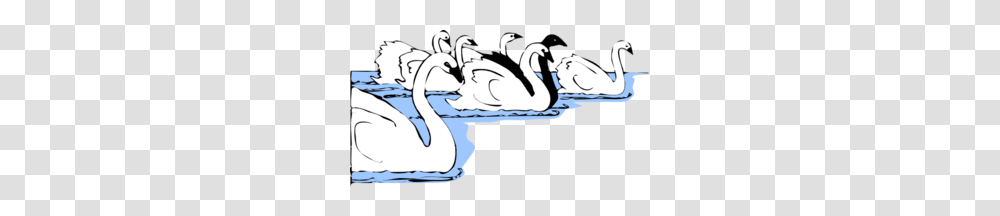 White And Black Swans Clip Art, Bird, Animal, Goose, Waterfowl Transparent Png