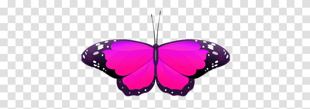 White And Purple Butterfly Clipart Clip Art Images, Animal, Insect, Invertebrate, Sunglasses Transparent Png