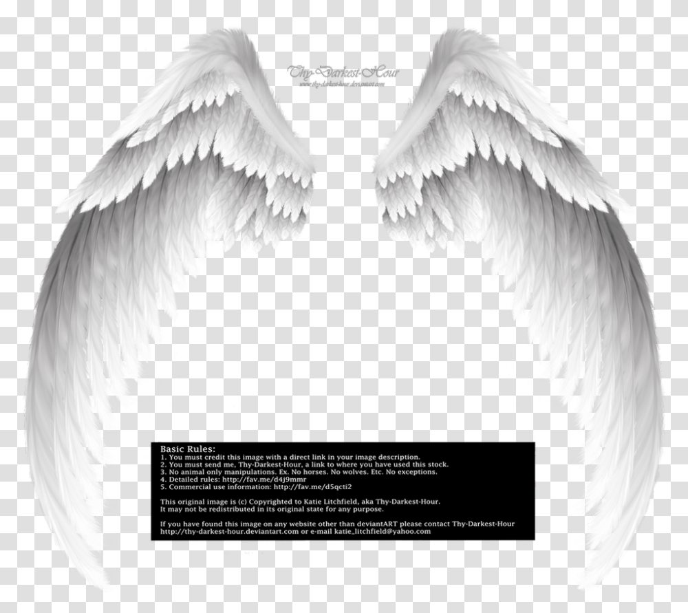 White Angel Wings Background Angel Wings, Archangel, Bird, Animal Transparent Png