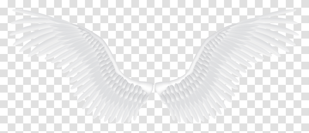 White Angel Wings, Brush, Tool, Archangel Transparent Png