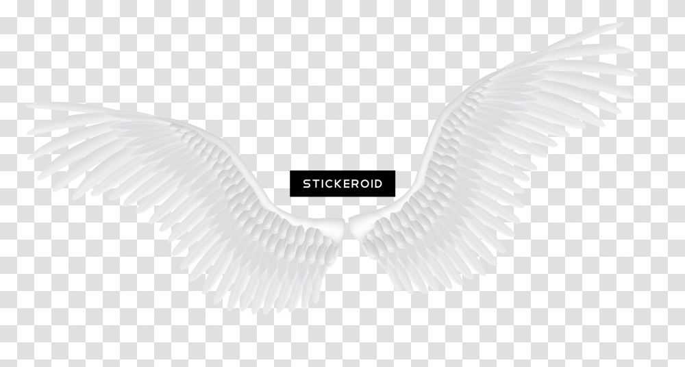 White Angel Wings Fantasy Religion White Angel Wings Hd, Brush, Tool, Art, Cushion Transparent Png
