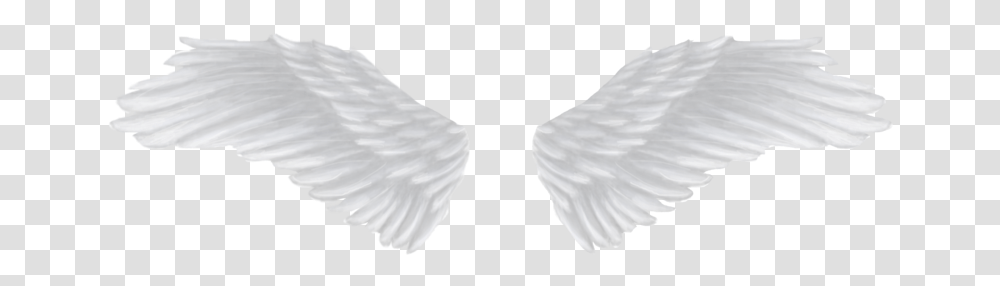 White Angel Wings, Goblet, Glass, Waterfowl, Bird Transparent Png