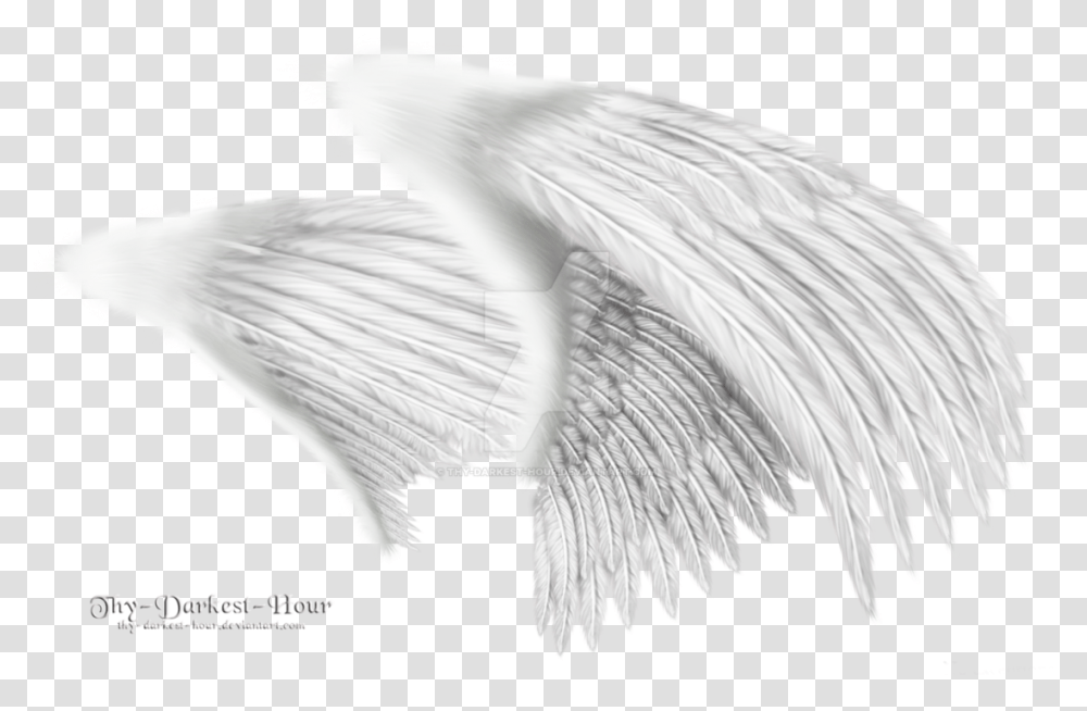 White Angel Wings Wing From The Side, Bird, Animal, Archangel Transparent Png
