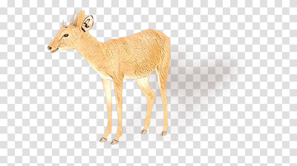 White Animal Figure, Antelope, Wildlife, Mammal, Deer Transparent Png