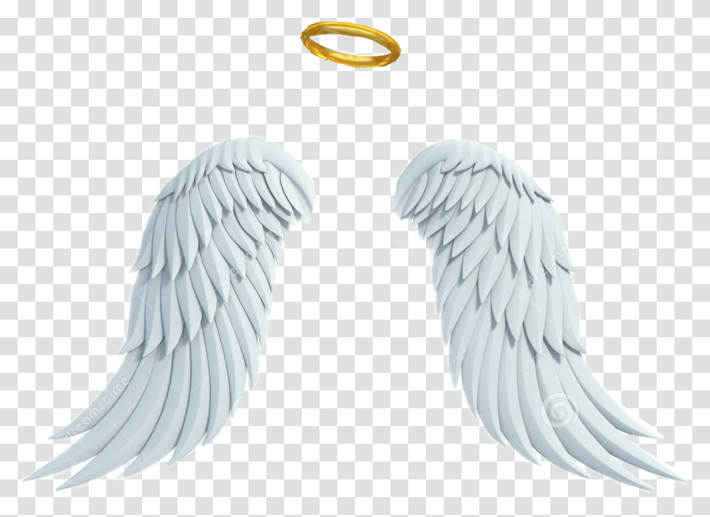 White Background With Angel Wings, Bird, Animal, Archangel Transparent Png