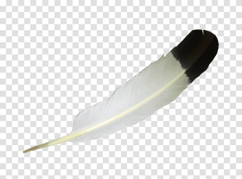 White Balck Feather, Leaf, Plant, Bird, Animal Transparent Png