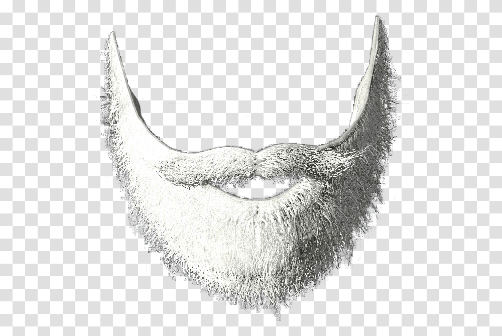 White Beard 3 Image Background Santa Beard, Face, Bird, Animal, Mustache Transparent Png