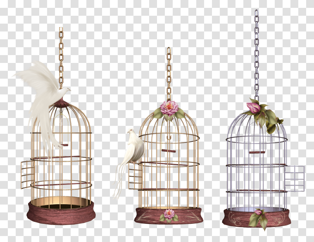 White Bird Cage Birdcage, Collage, Poster, Advertisement Transparent Png