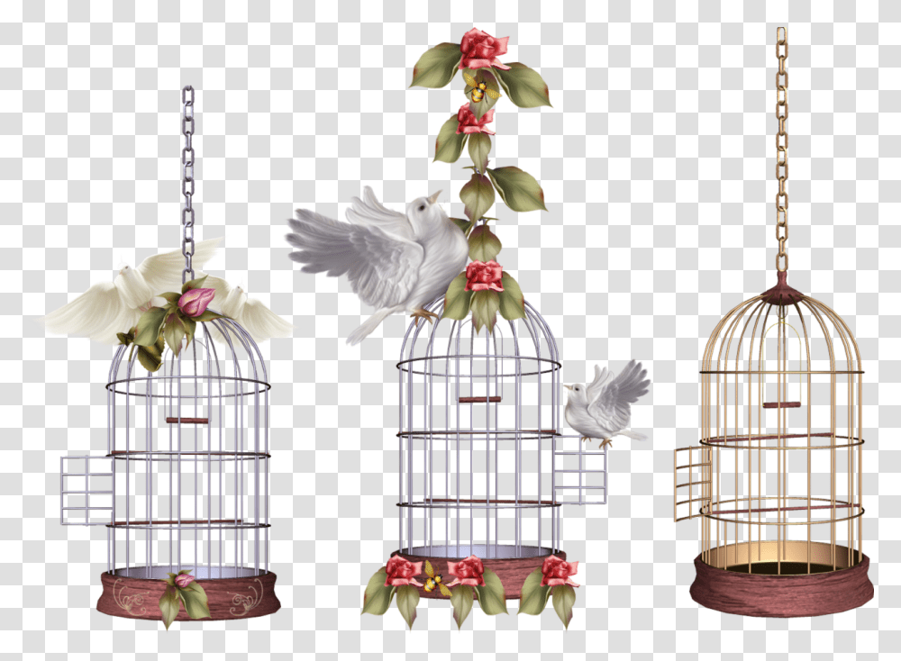 White Bird Cage Image Kletka S Pticej, Flower, Plant, Flower Arrangement, Animal Transparent Png