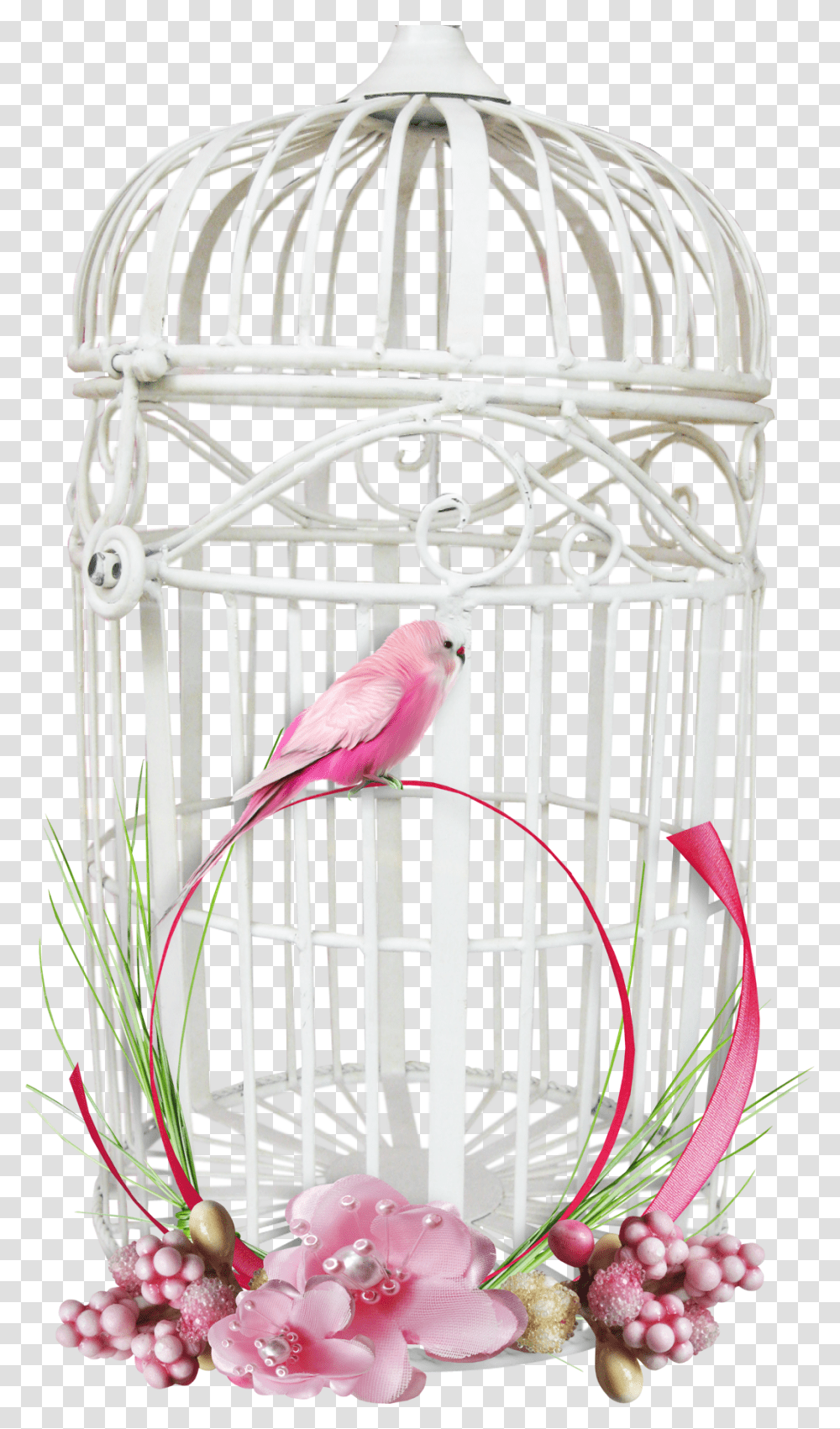 White Bird Cage Image Purepng Free Cc0 Background Bird Cage, Animal, Furniture, Parakeet, Parrot Transparent Png