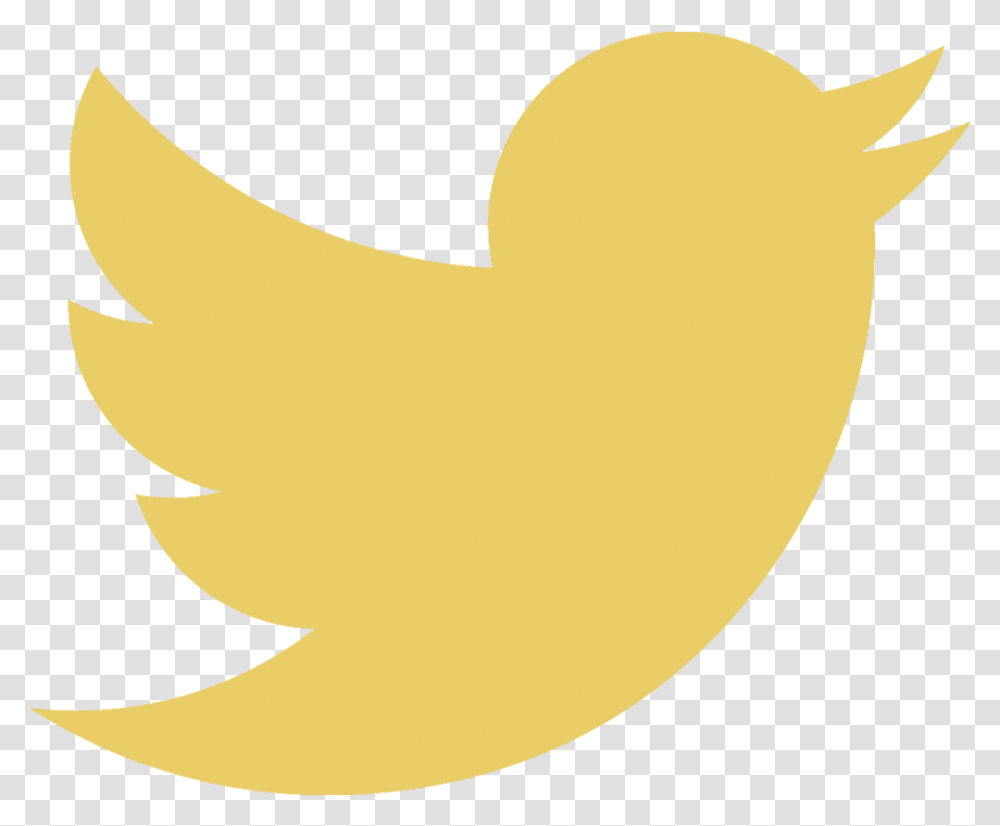 White Bird Twitter Yellow Twitter Logo, Animal, Stomach, Food Transparent Png