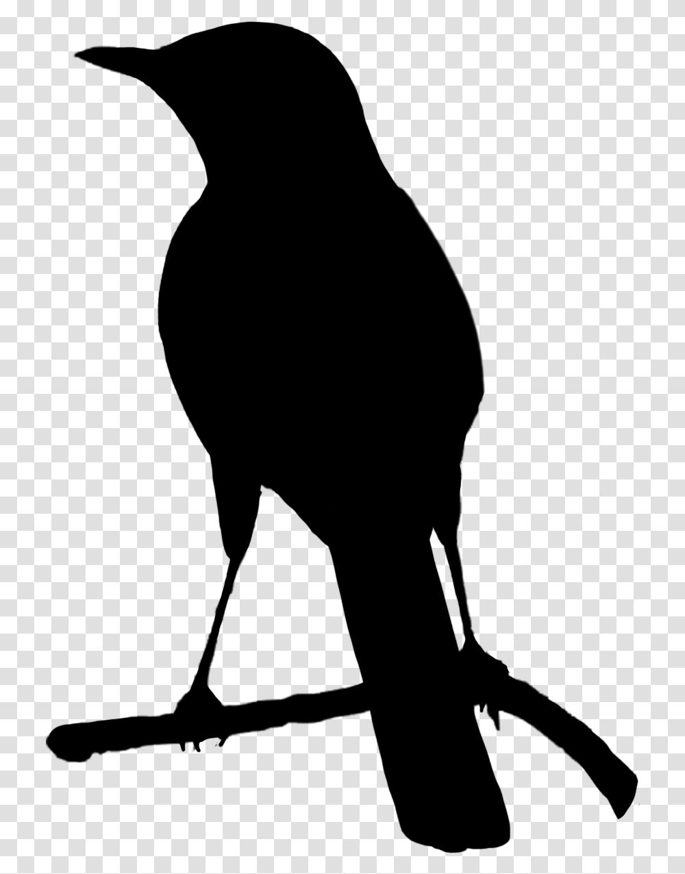 White Birds Bird Black And White, Gray, World Of Warcraft Transparent Png