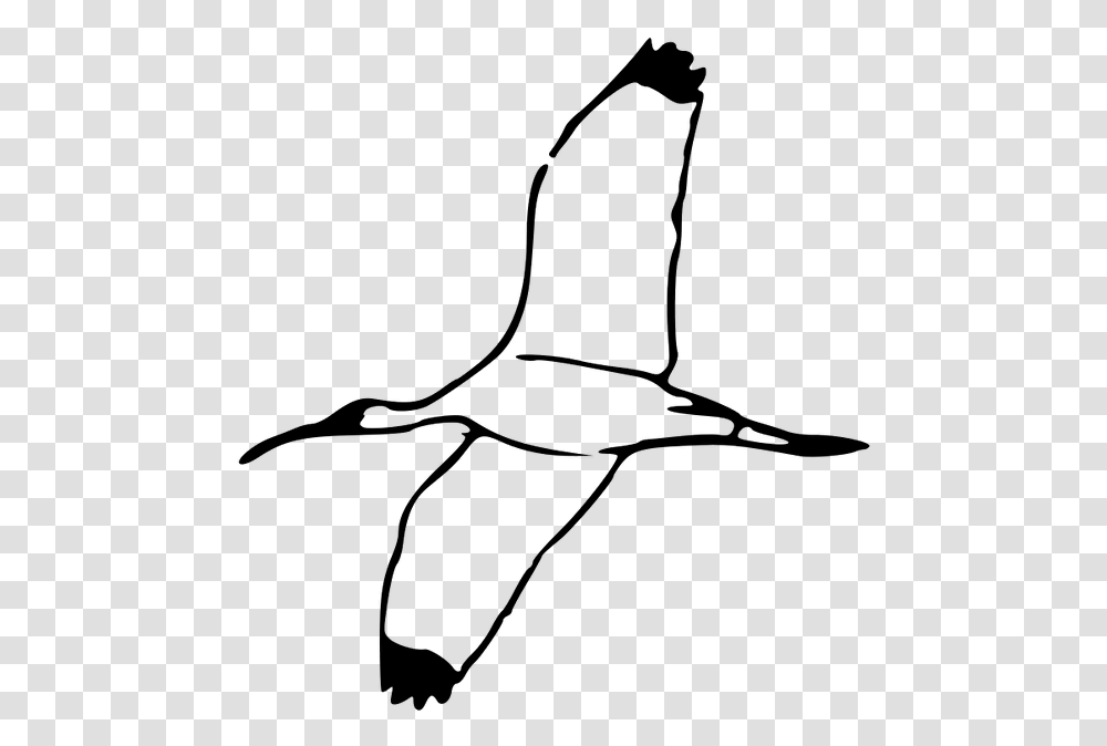 White Birds Flying Clipart Scarlet Ibis Bird Outline, Gray, World Of Warcraft Transparent Png