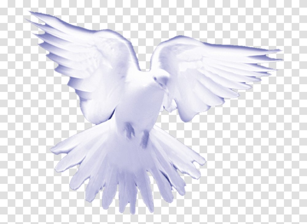 White Birds On Heaven Download Holy Spirit White Doves, Pigeon Transparent Png