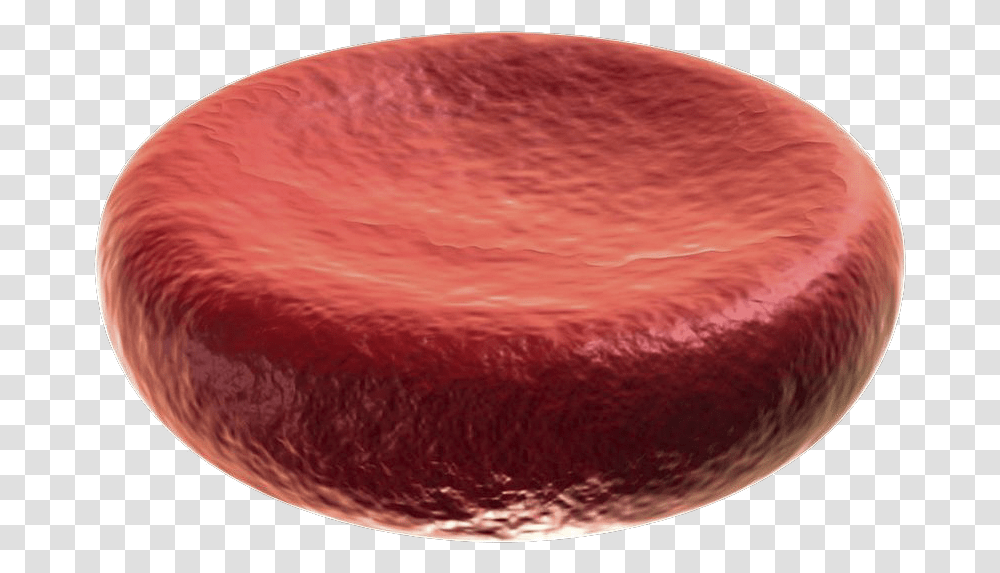 White Blood Cell Clipart Human Blood Cells, Outer Space, Astronomy, Universe, Planet Transparent Png