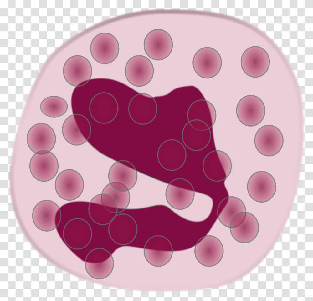 White Blood Cell Eosinophil Neutrophil Immune System Eosinophil Clipart, Plant, Fruit, Food, Rug Transparent Png