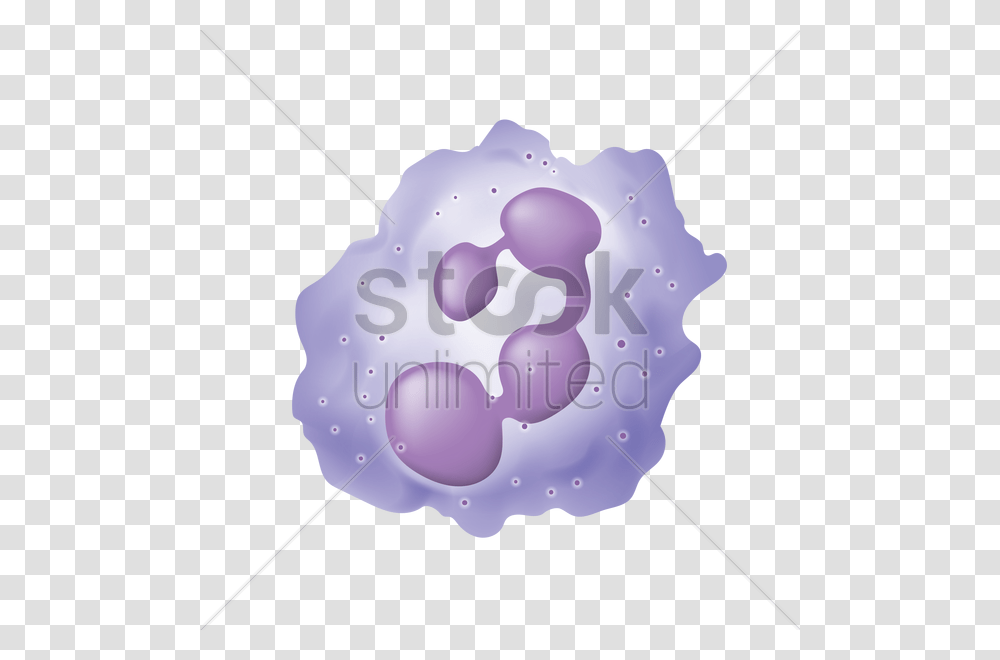 White Blood Cell Vector Image, Cushion, Pillow, Birthday Cake, Dessert Transparent Png