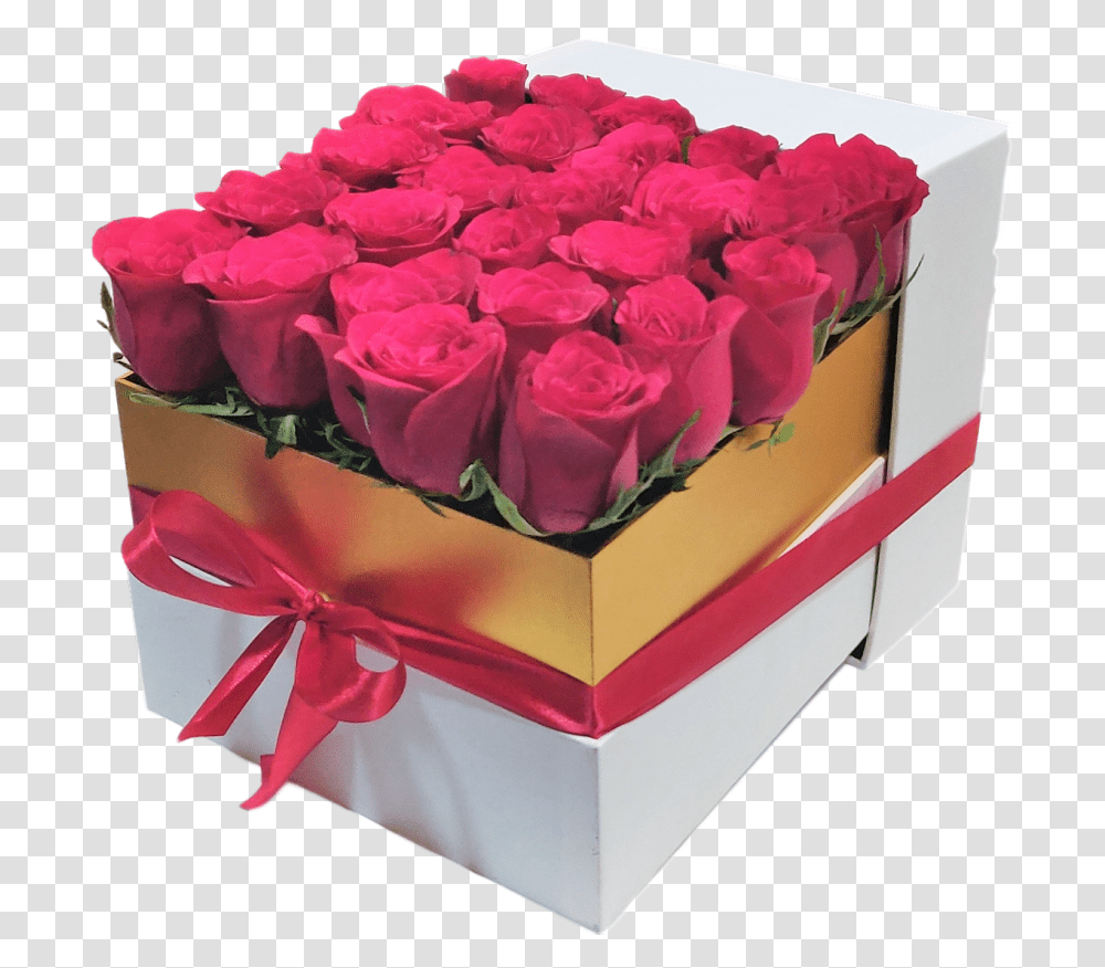White Box 25 Red Roses Gift Garden Roses, Plant, Flower, Blossom, Flower Bouquet Transparent Png
