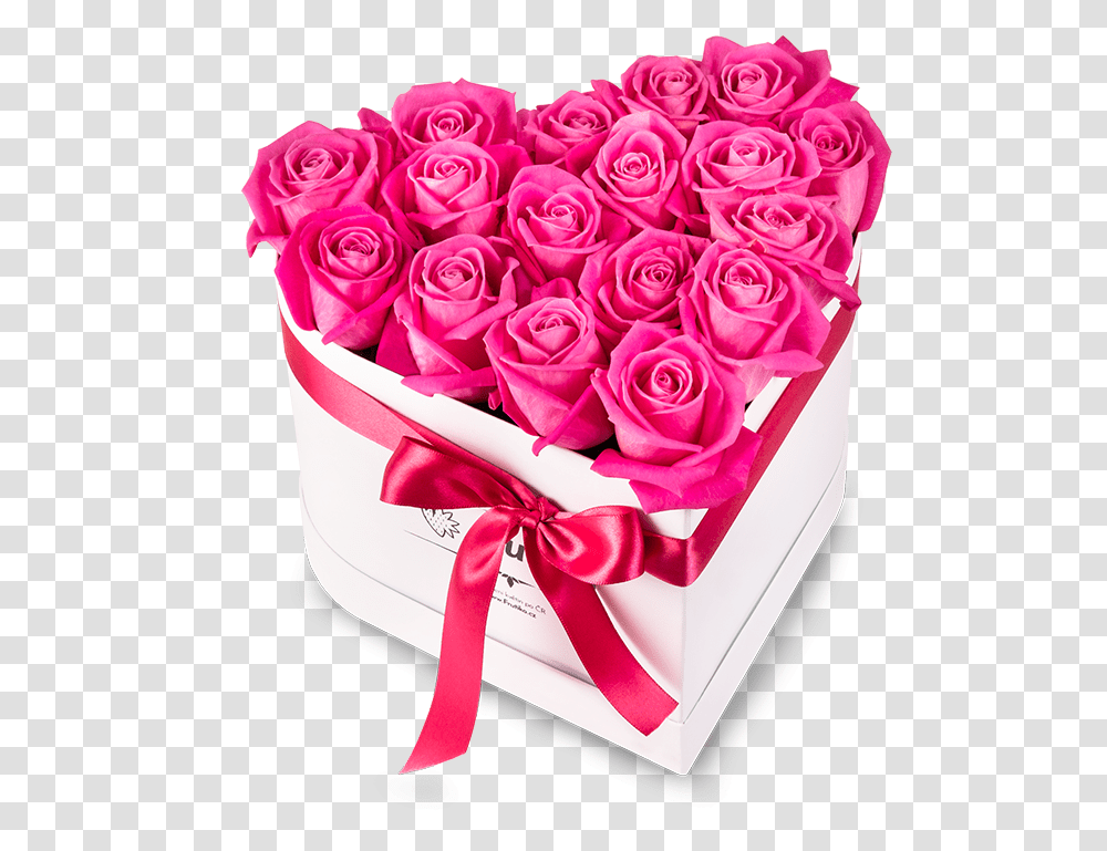 White Box Freshly Cut Pink Roses Ruzove Ruze, Plant, Flower, Blossom, Flower Bouquet Transparent Png