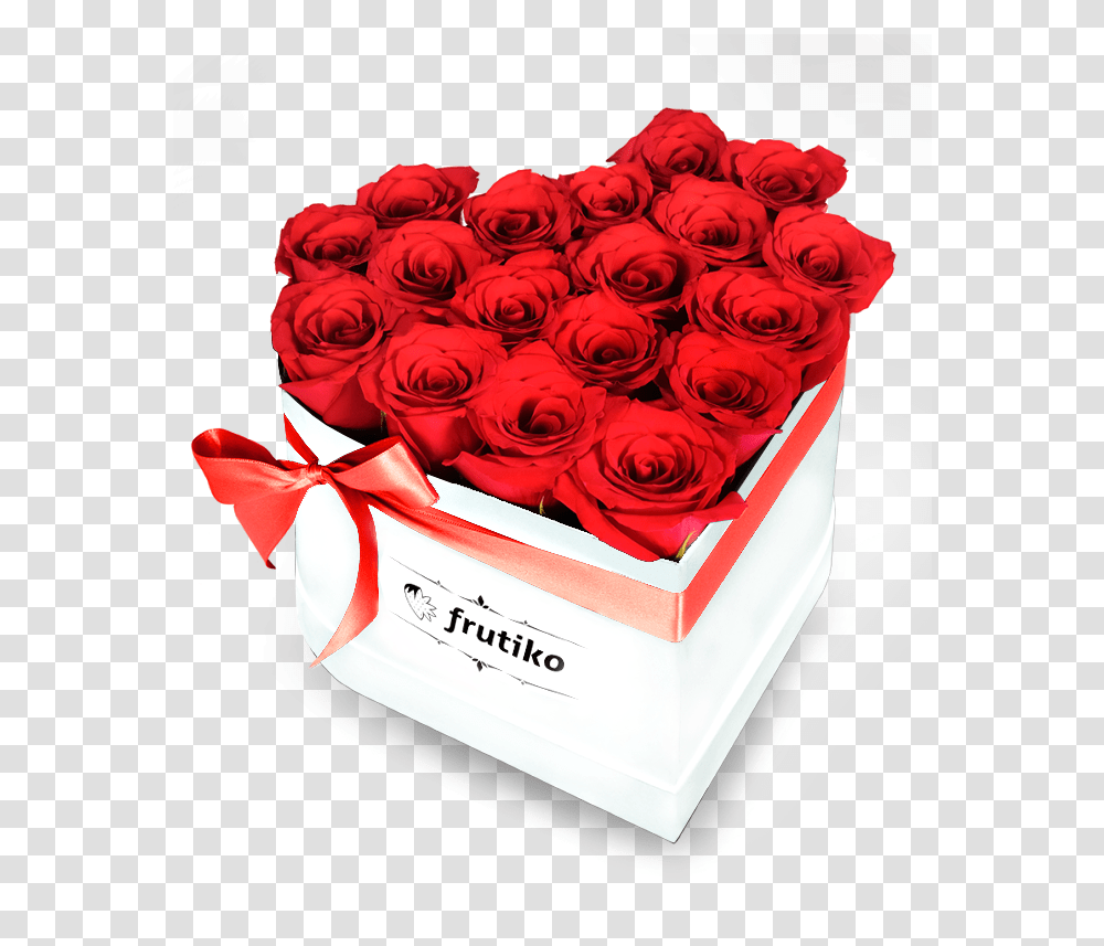 White Box Freshly Cut Red Roses Garden Roses, Flower, Plant, Blossom, Petal Transparent Png