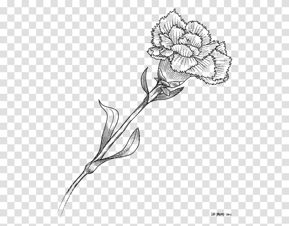 White Carnation Flower Clipart Image Freeuse Library V Hoa Cm Chng Bng Ch, Gray, World Of Warcraft Transparent Png