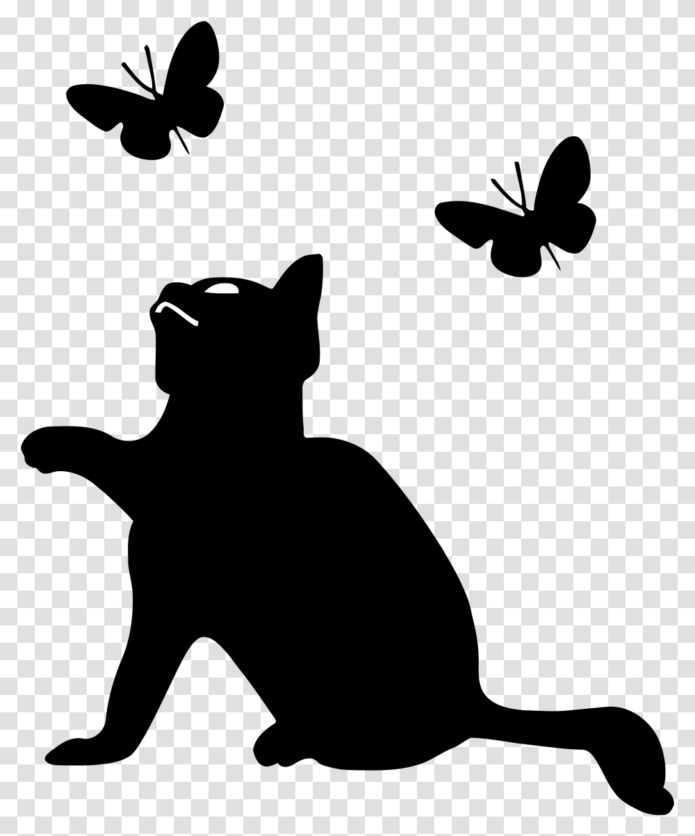 White Cat Cat Icon, Bird, Animal, Gray, Outdoors Transparent Png