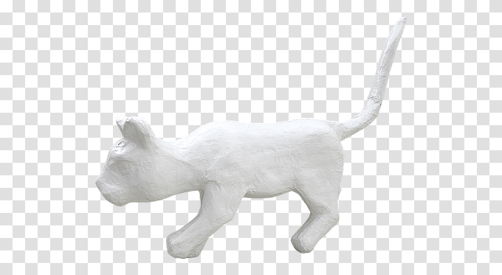 White Cat Free Photo On Pixabay En Blanco Animal, Mammal, Antelope, Wildlife, Bear Transparent Png