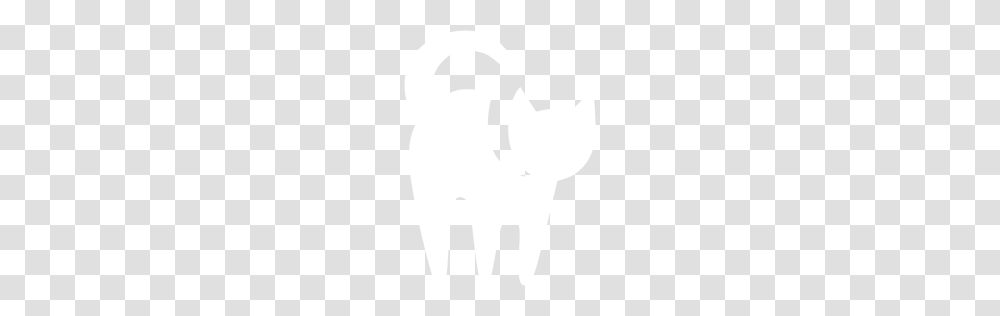 White Cat Icon, Texture, White Board, Apparel Transparent Png