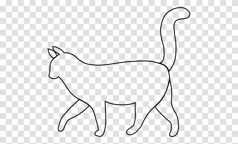 White Cat Outline Clip Art, Animal, Mammal, Antelope, Wildlife Transparent Png