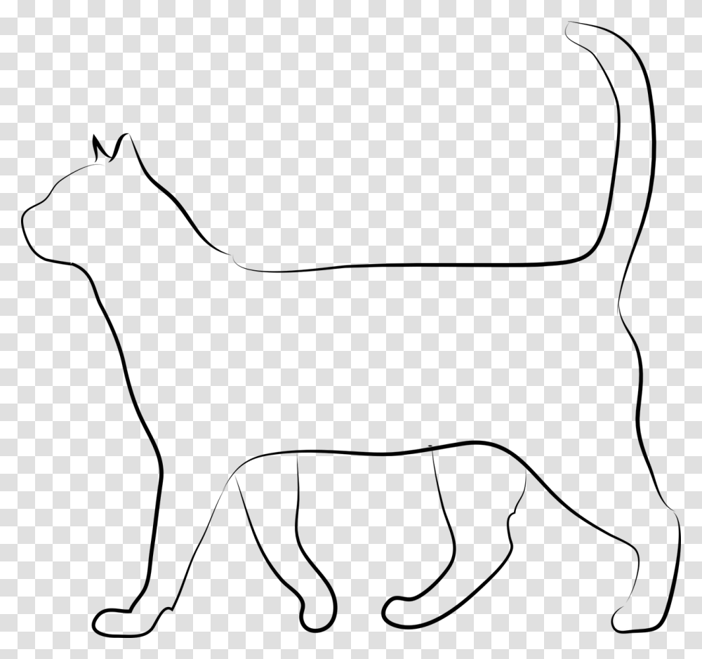 White Cat Silhouette, Gray, World Of Warcraft Transparent Png