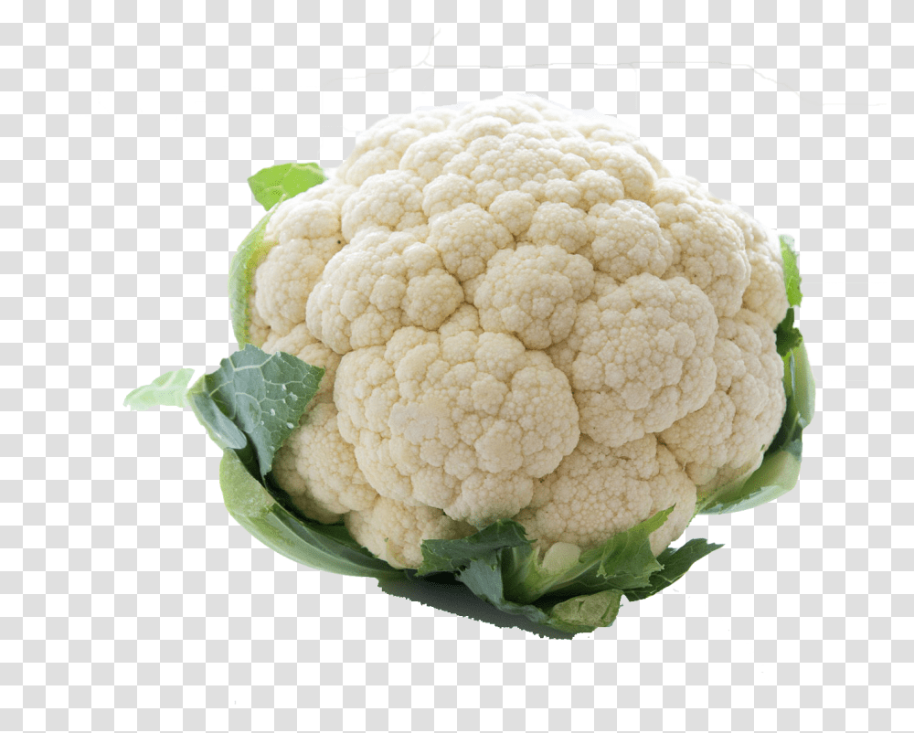 White Cauliflower Free Background Cauliflower Is Just Cabbage With A College Education, Plant, Vegetable, Food, Fungus Transparent Png