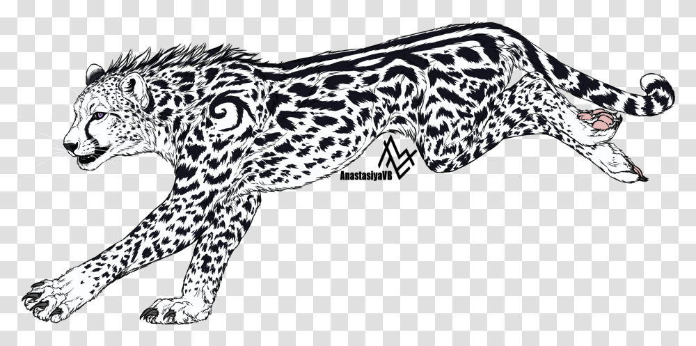 White Cheetah Cheetah, Panther, Wildlife, Mammal, Animal Transparent Png