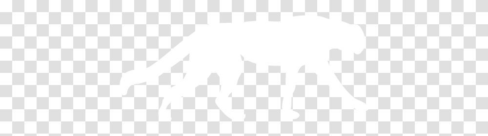 White Cheetah Icon White Cheetah, Animal, Mammal, Canine, Silhouette Transparent Png