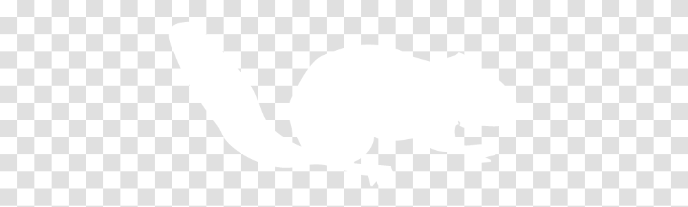 White Chipmunk Icon Free White Animal Icons Tree Squirrels, Mammal, Wildlife, Rabbit, Rodent Transparent Png