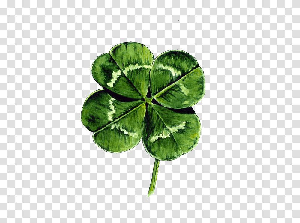 White Clover Four Leaf Clover Watercolor Painting Drawing Four Leaf Clover Watercolour Transparent Png