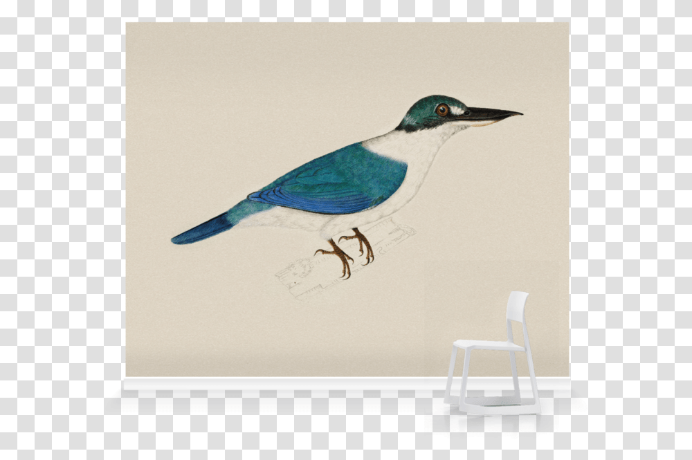 White Collared Kingfisher Sketch, Bird, Animal, Chair, Furniture Transparent Png