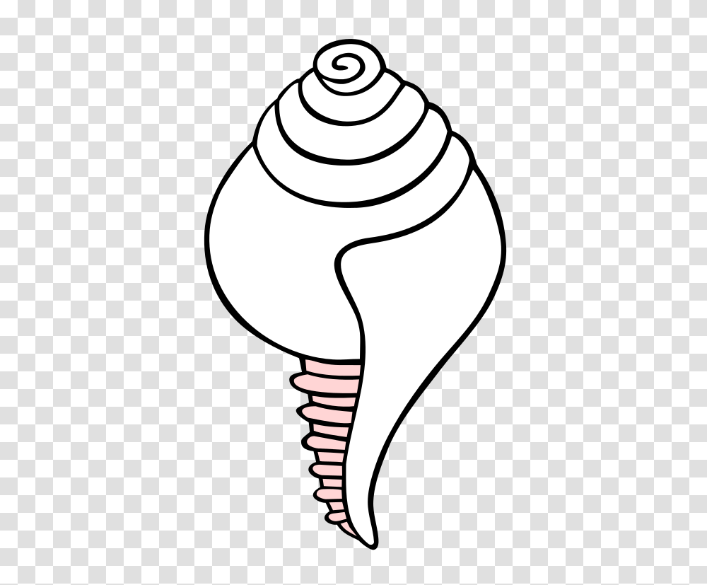 White Conch Symbol, Light, Lightbulb, Lamp, Snowman Transparent Png