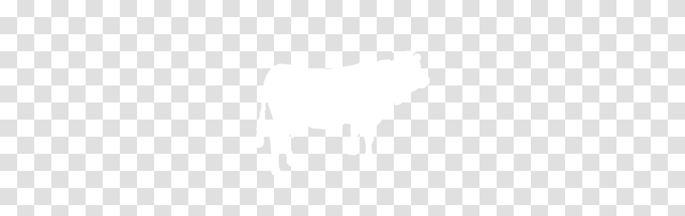 White Cow Icon, Texture, White Board, Apparel Transparent Png