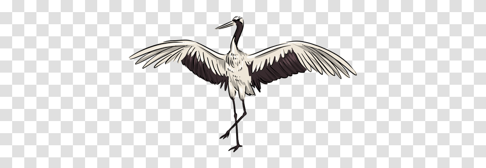 White Crane Bird Long, Animal, Stork, Waterfowl, Pelican Transparent Png