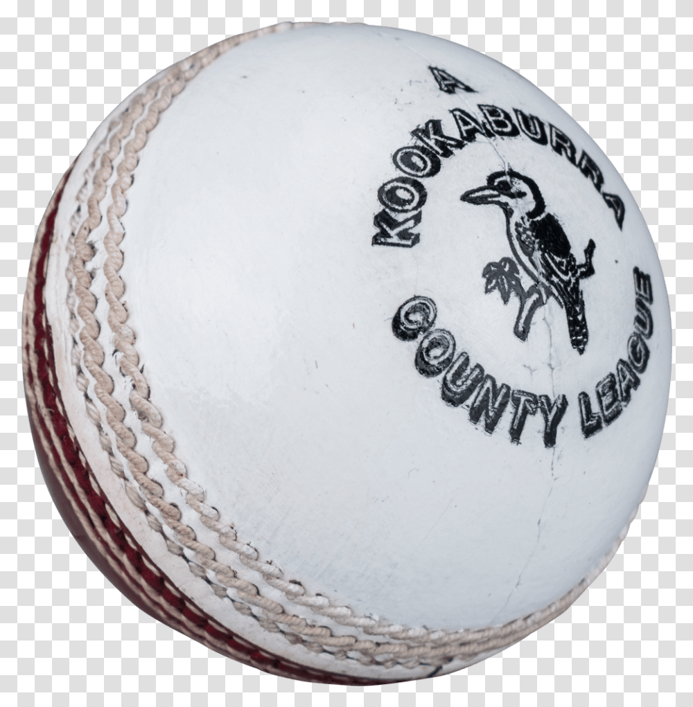 White Cricket Ball Cricket White Ball Hd, Bird, Animal, Golf Ball, Sport Transparent Png